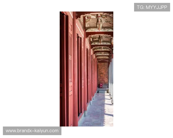 内格雷拉案历史脉络：裁判指派争议与司法进展